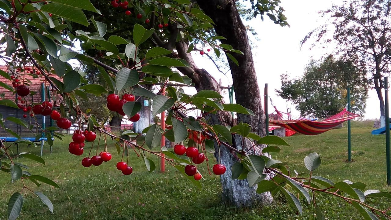 Pensiunea Tabacaru Peştera Zewnętrze zdjęcie