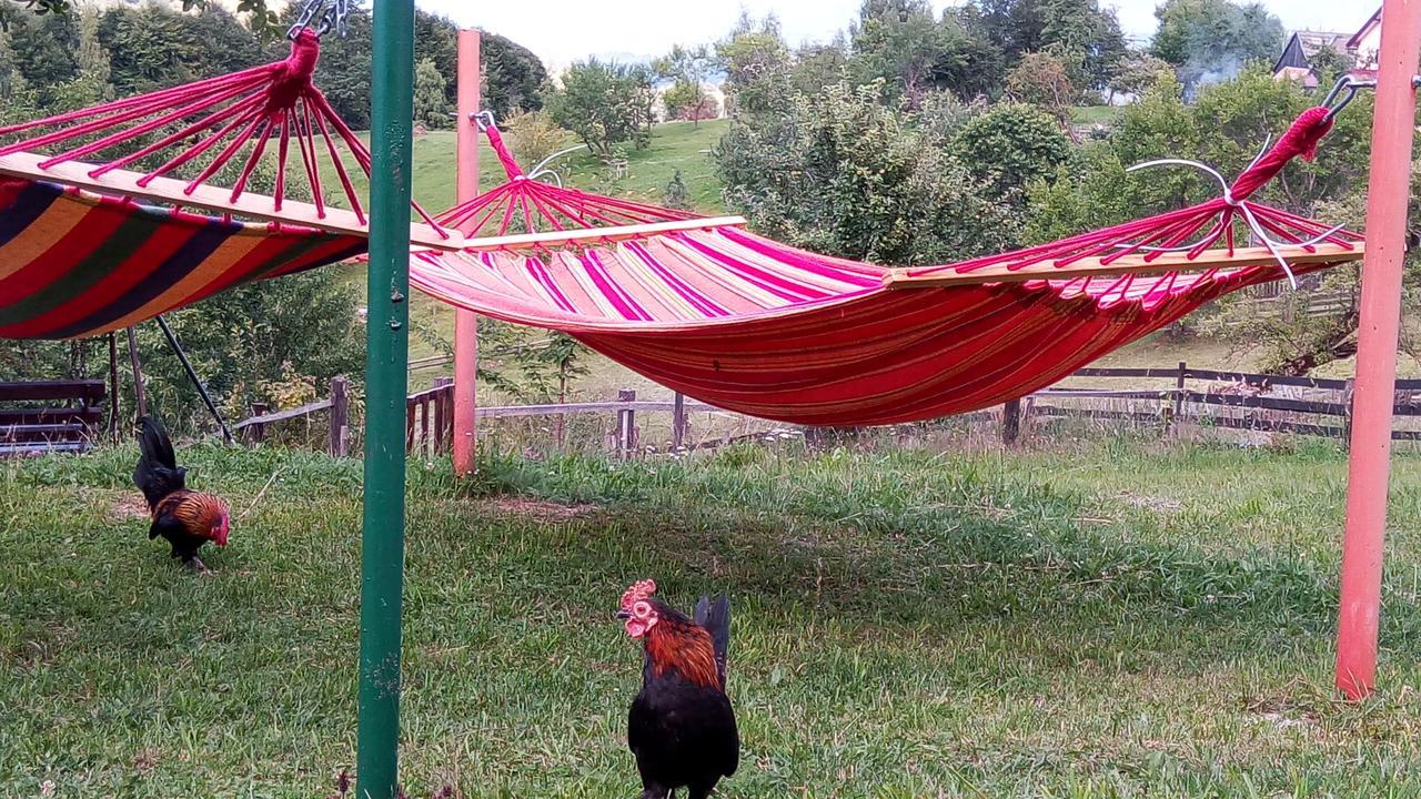 Pensiunea Tabacaru Peştera Zewnętrze zdjęcie
