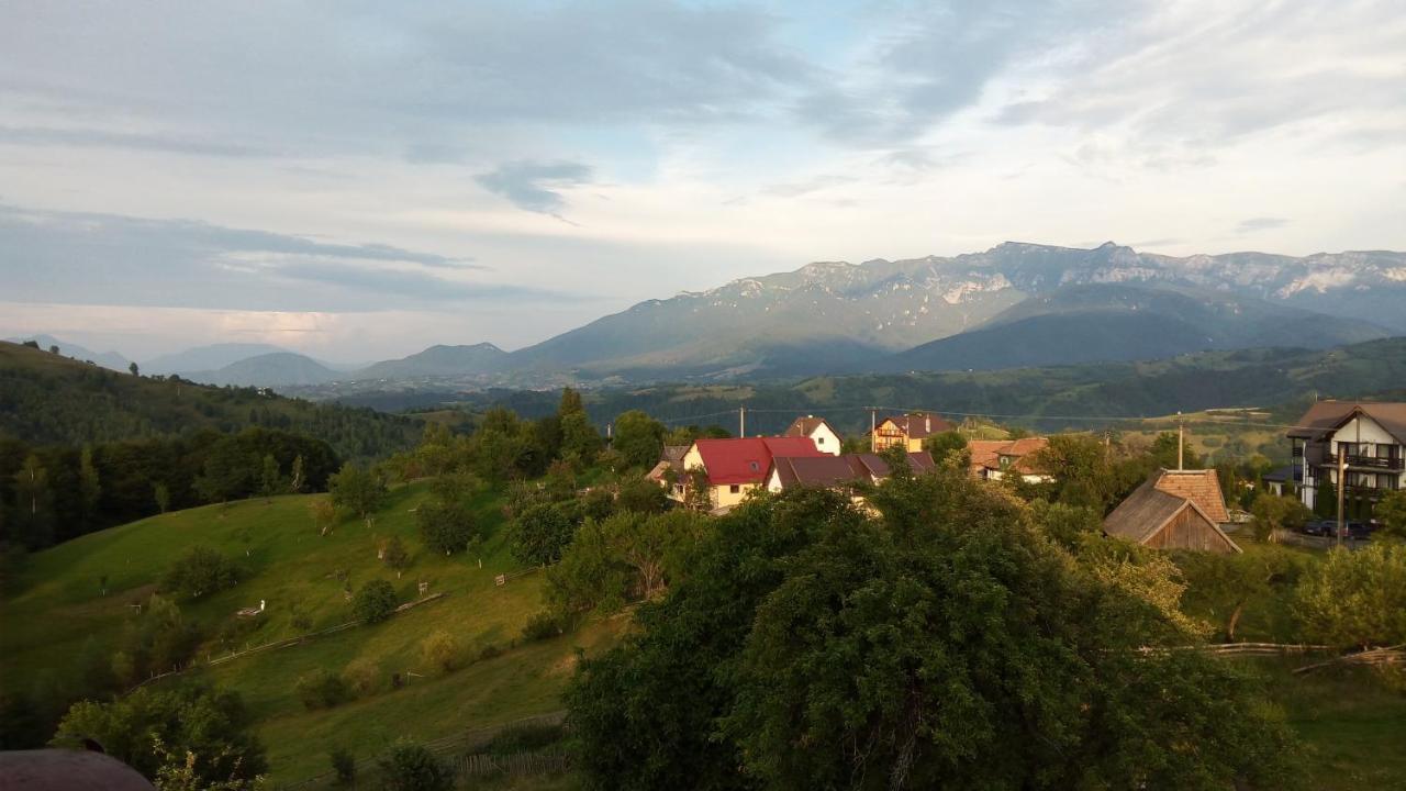 Pensiunea Tabacaru Peştera Zewnętrze zdjęcie