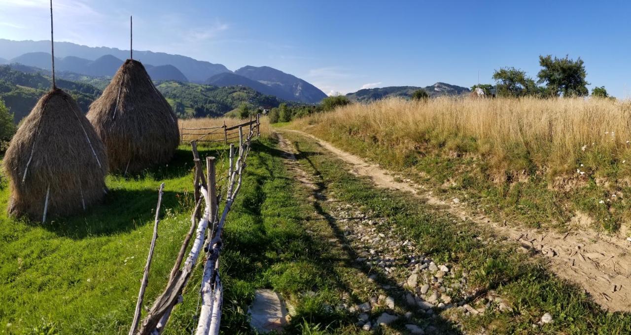 Pensiunea Tabacaru Peştera Zewnętrze zdjęcie