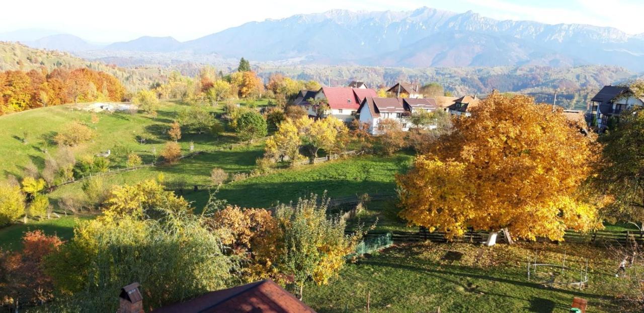 Pensiunea Tabacaru Peştera Zewnętrze zdjęcie